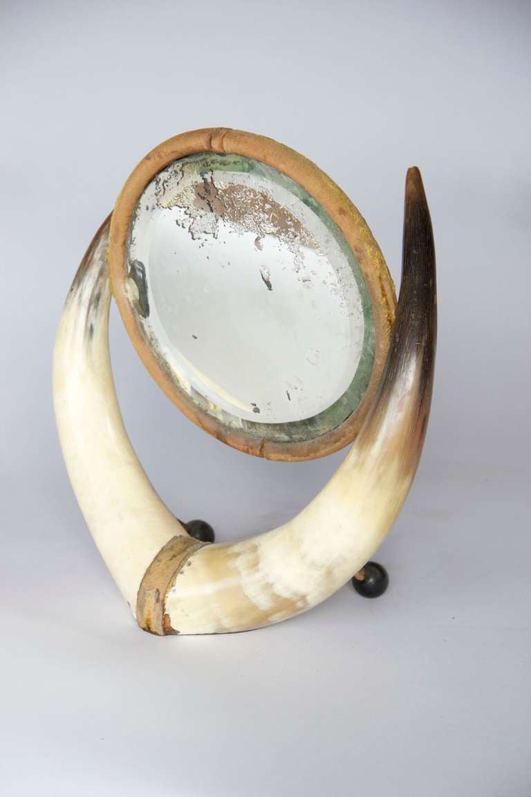 Bone Rustic Horn and Glass Table Mirror