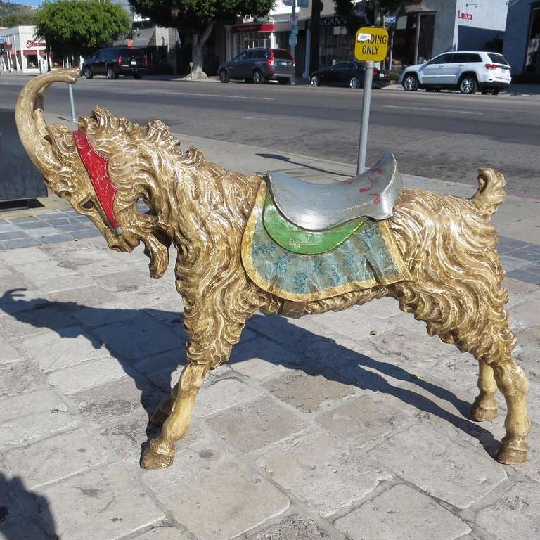 From the Higareda Brothers studios in Guadalajara, Mexico comes this ultra charming carved carousel goat. Made in a smaller scale for a traveling carnival with a carousel, it is the ideal scale for most interiors. The carving and painting are quite