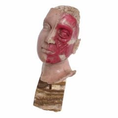 Antique 19th Century Wax Medical Display Head