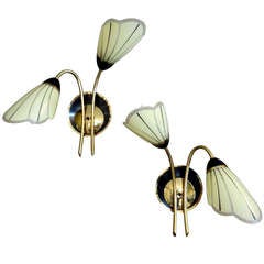 French 1950
s Brass and Glass Tulip Sconces