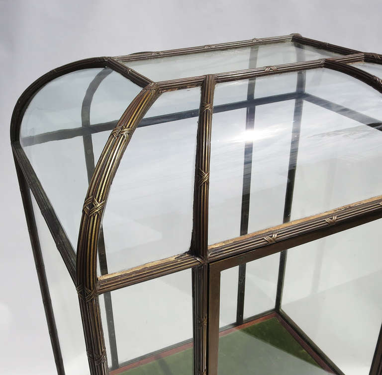 American Atrium Form Showcase in Bronze by Charles Biele and Sons