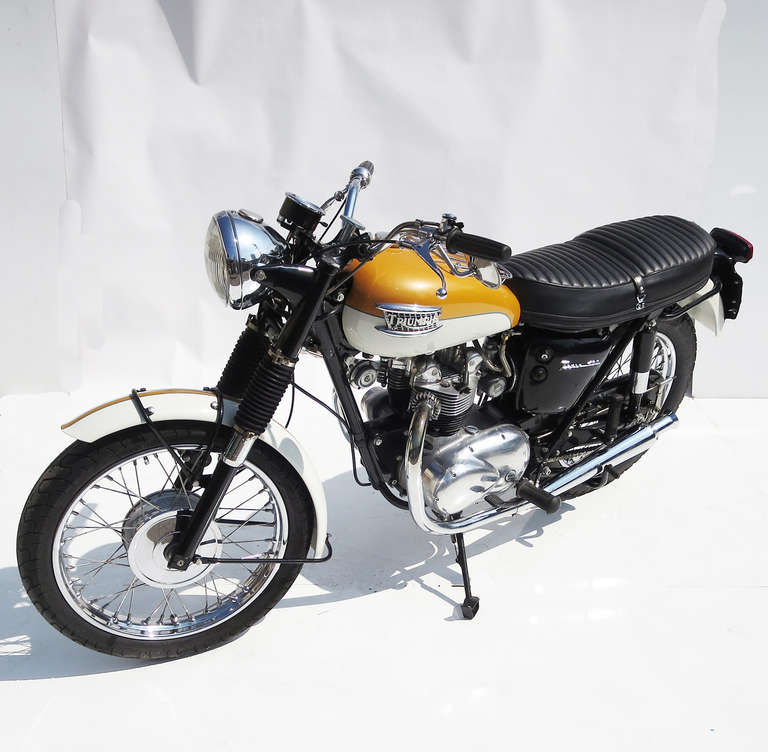 Mid-Century Modern Fully Restored 1965 Triumph Tiger 500