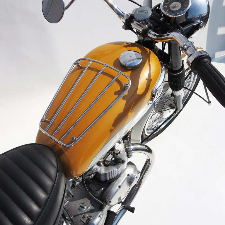 Fully Restored 1965 Triumph Tiger 500 In Excellent Condition In North Hollywood, CA