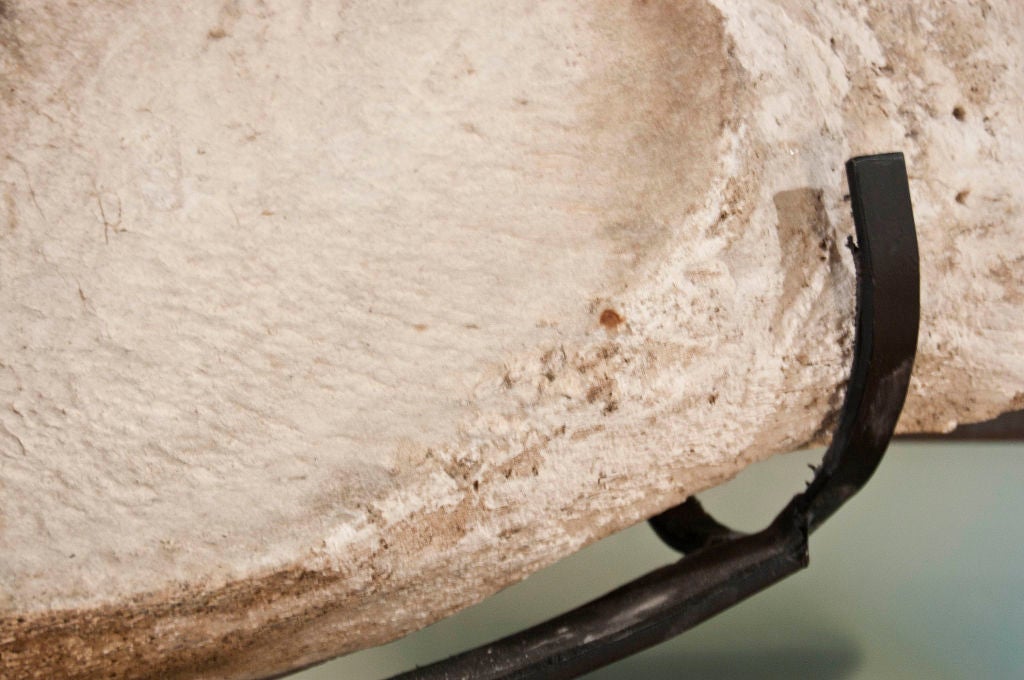 Contemporary Whale Vertebrae