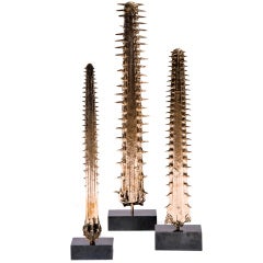 Sawfish - Organic Collection