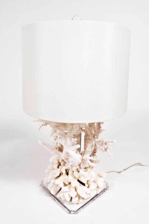 Pair of Coral Lamps