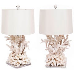Pair of Coral Lamps