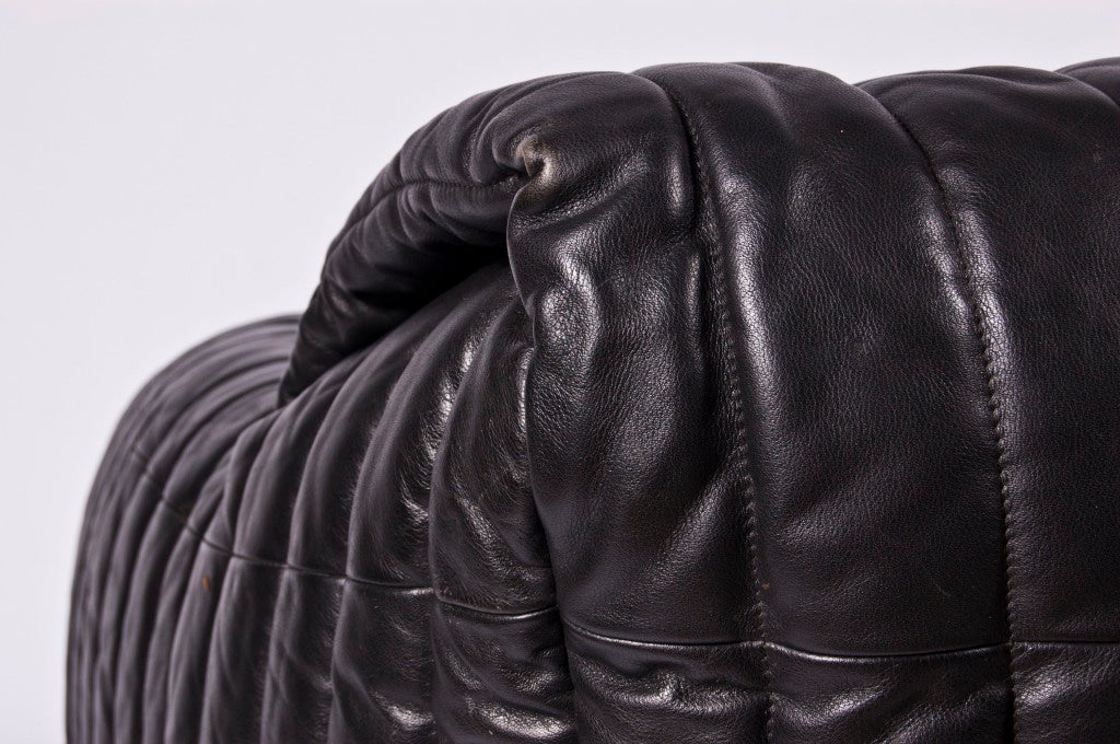 Black Leather Living Scape - Two Seater by Cinna Annie Hieronim 1