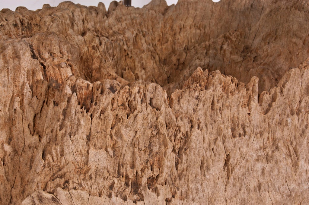 The Geography Table 1