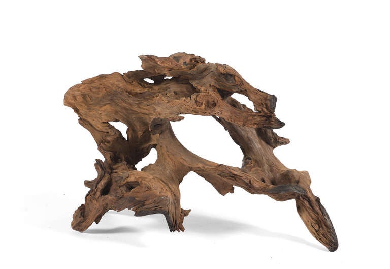 Natural organic sculpture from naturally fallen 500 year old redwood with natural wax.