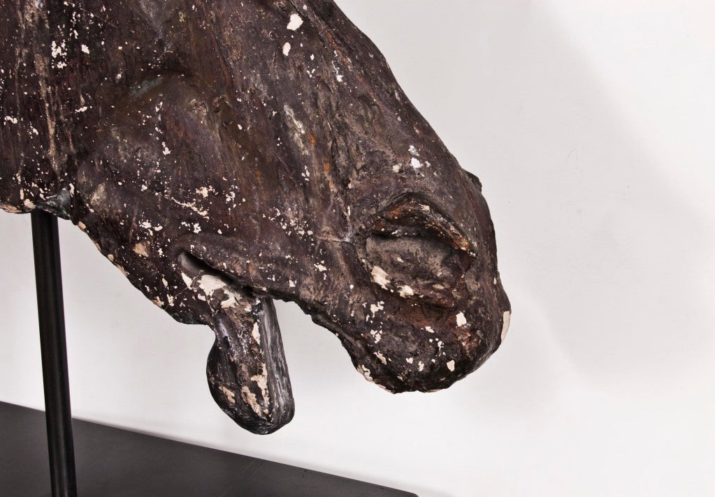 Head of Selene