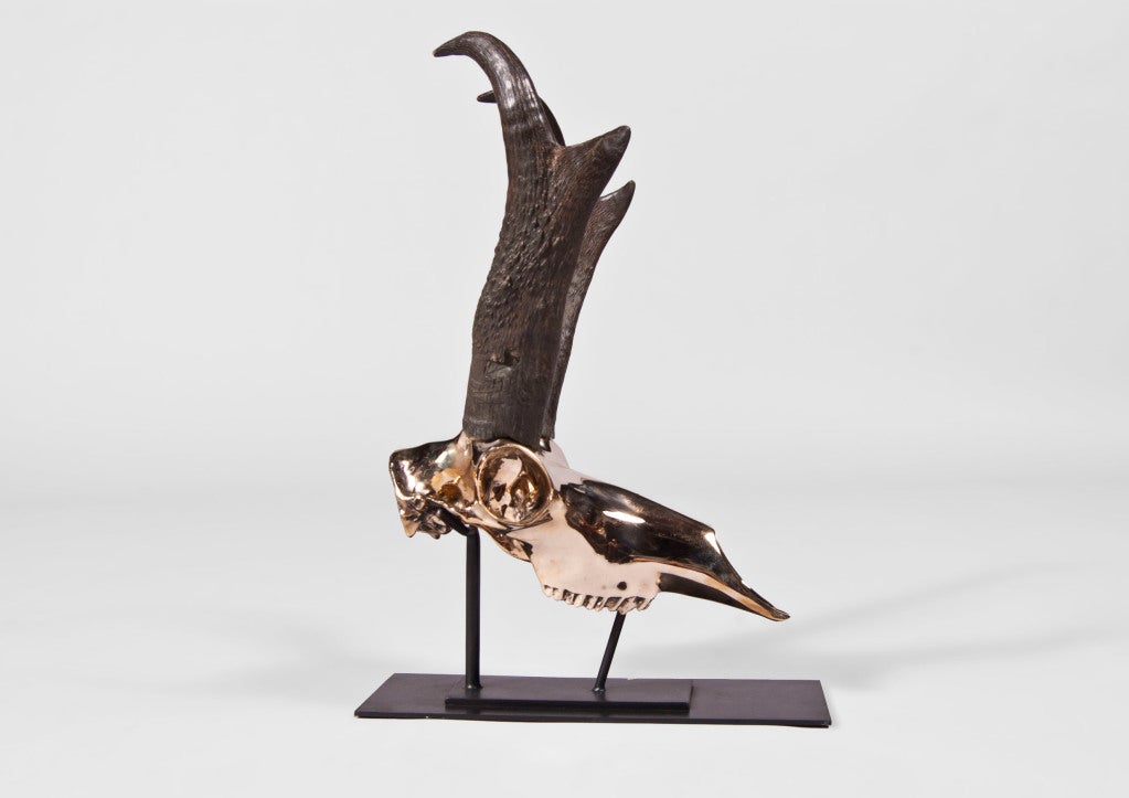 Bronze Antelope by Ahsley Tudor