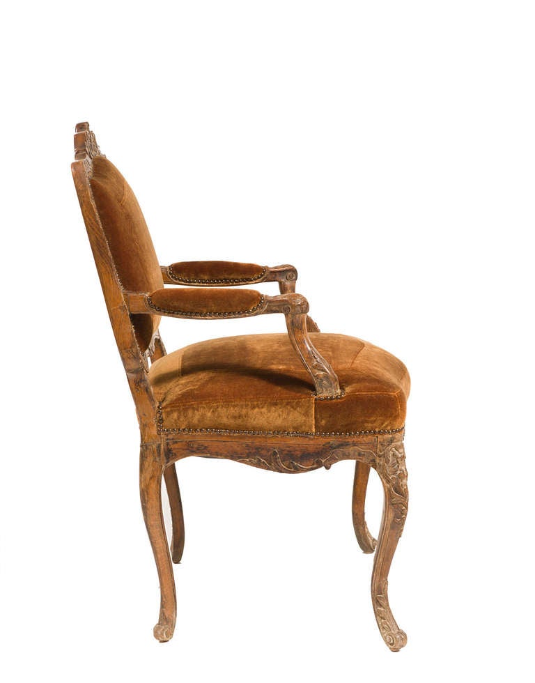 Walnut hand carved frame fauteuil upholstered in top stitch copper silk velvet.