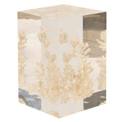 Acrylic Cube Side Table with White Coral Fragments