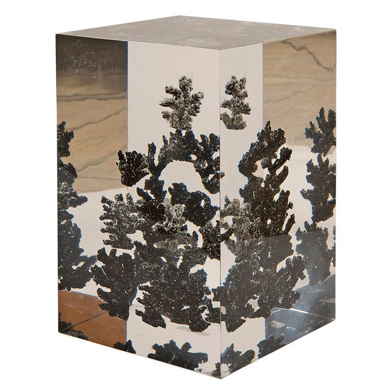 Acrylic Cube Side Table with Black Coral Fragments