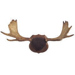Antique Mini Moose