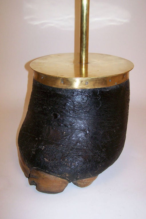 A large antique elephant foot mounted as a lamp in the mid 20th century. Measurements do not include the harp. This could be made into a footstool as well.