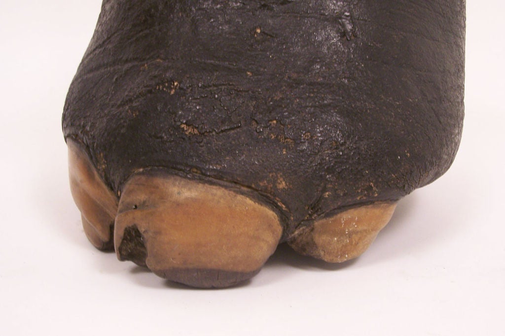 20th Century Big Elephant Foot Lamp