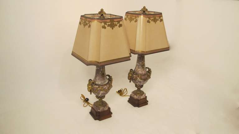 19th Century French Marble Lamps 2