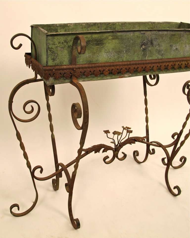 Wrought Iron French Plant Stand
