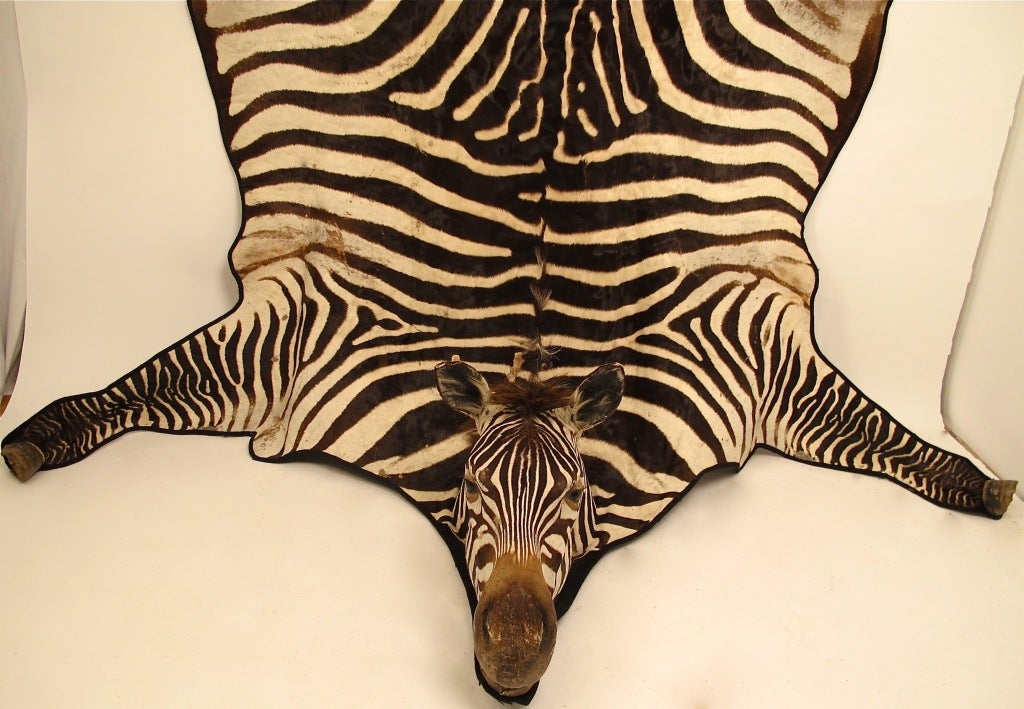 zebra flat skin