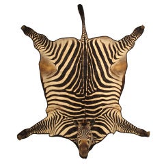 Extraordinary Vintage Zebra Skin Rug at 1stDibs