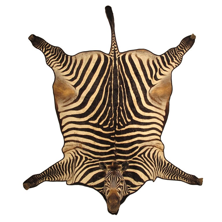 Extraordinary Vintage Zebra Skin Rug at 1stDibs | vintage zebra rug, zebra  rug with head