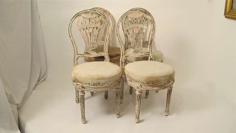 An exceptional set of four Louis XVI style carved wood chairs with crusty old white paint over green paint and having original horse hair seats. The seats are a good generous size and comfortable, sturdy and sound, and ready for upholstery. France,