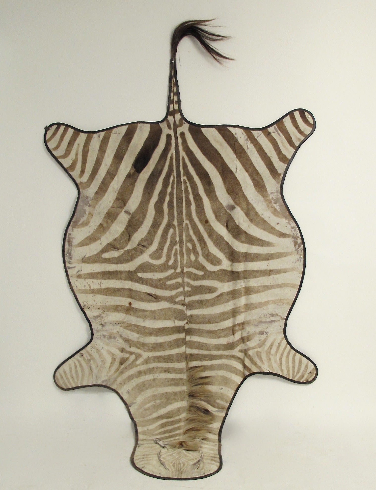 Zebra Rug