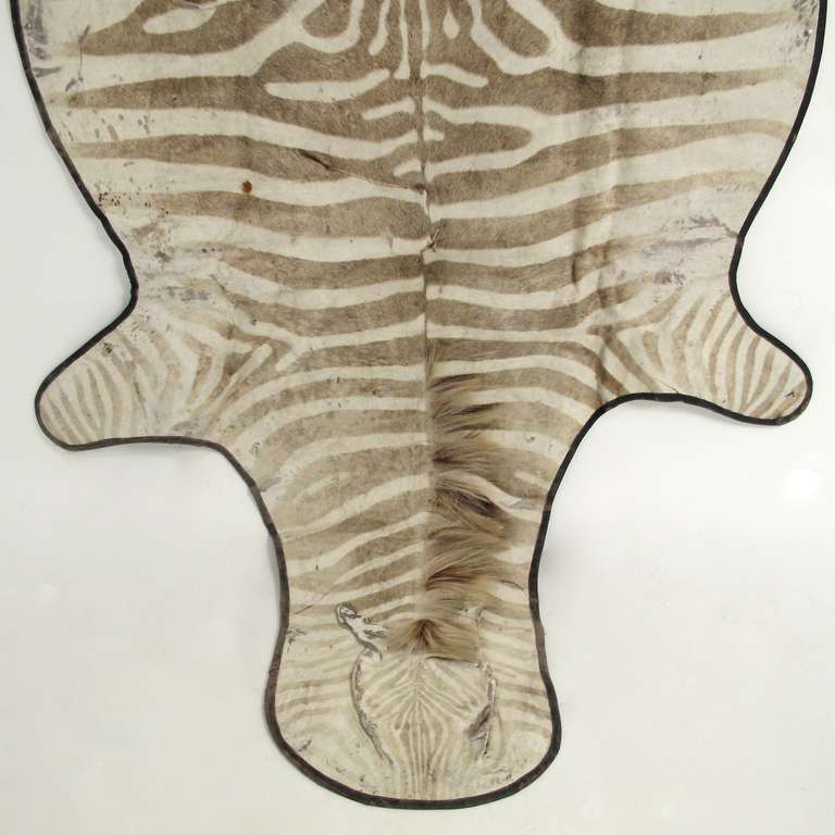 Zebra Rug In Good Condition In San Francisco, CA