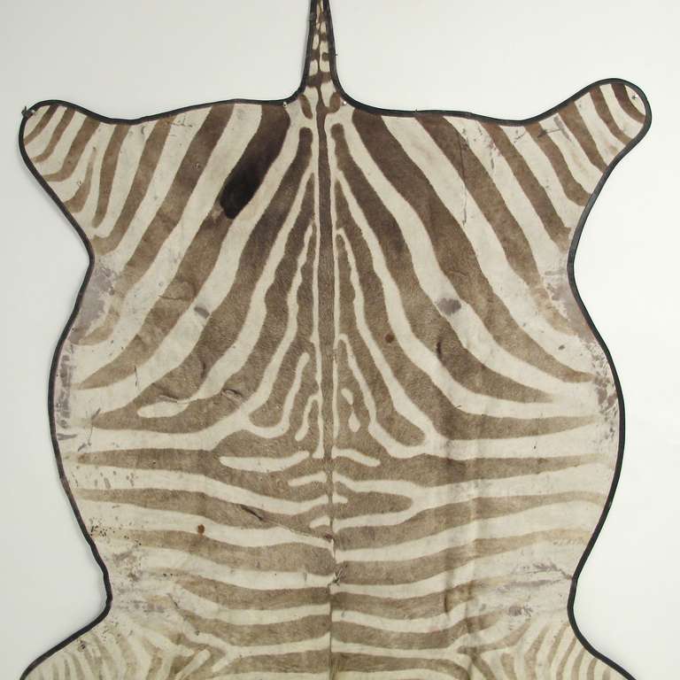 20th Century Zebra Rug