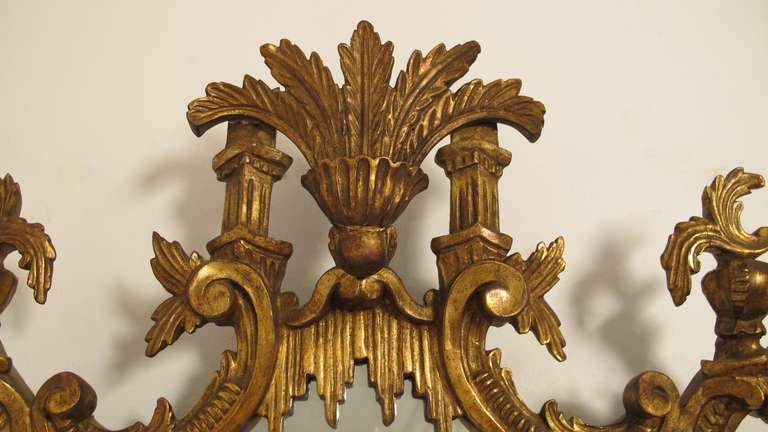 Fanciful Carved Gold Wood framed Mirror, Louis XVI/Rococo Style with Acanthus Leaves at the center pop flanked by C scrolls that continue all the way around with dripping moss.
Italian, Circa 1950.