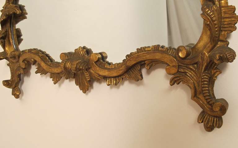 Carved Louis XVI/Rococo Style Gold Mirror
