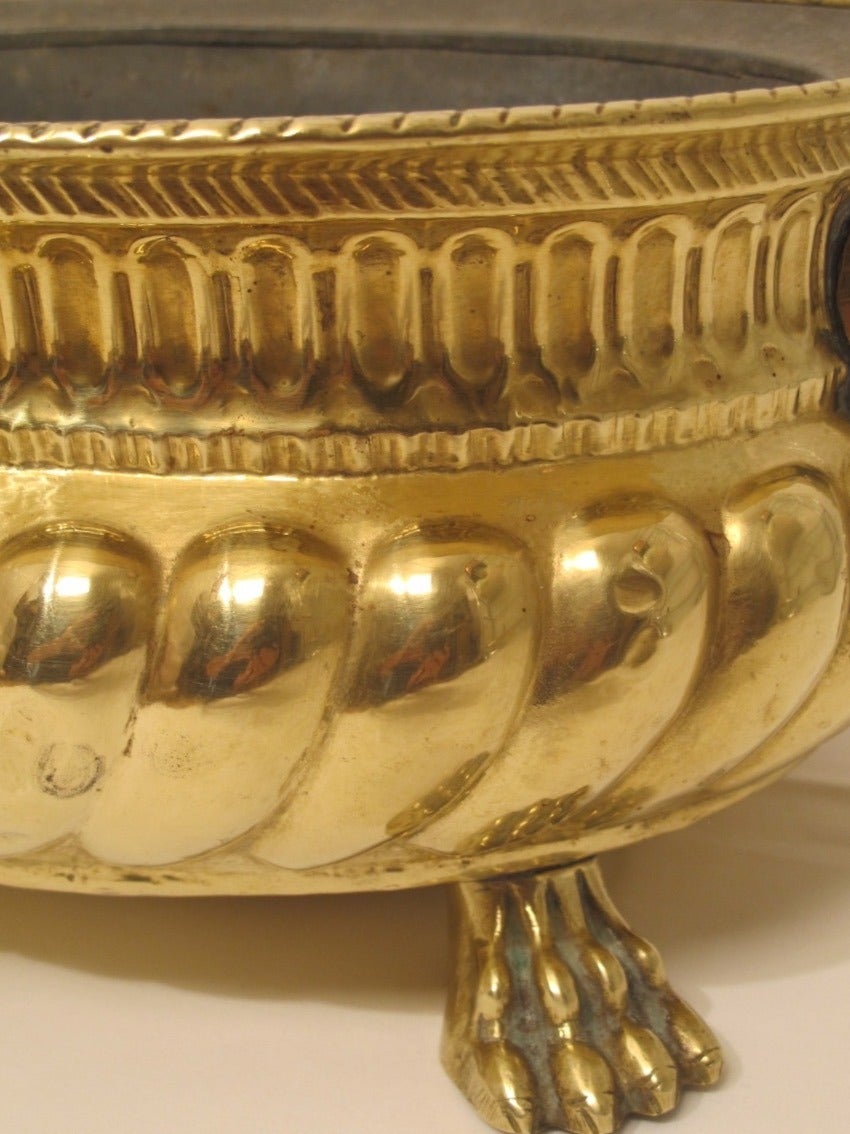 19th Century English Brass Jardiniere 2