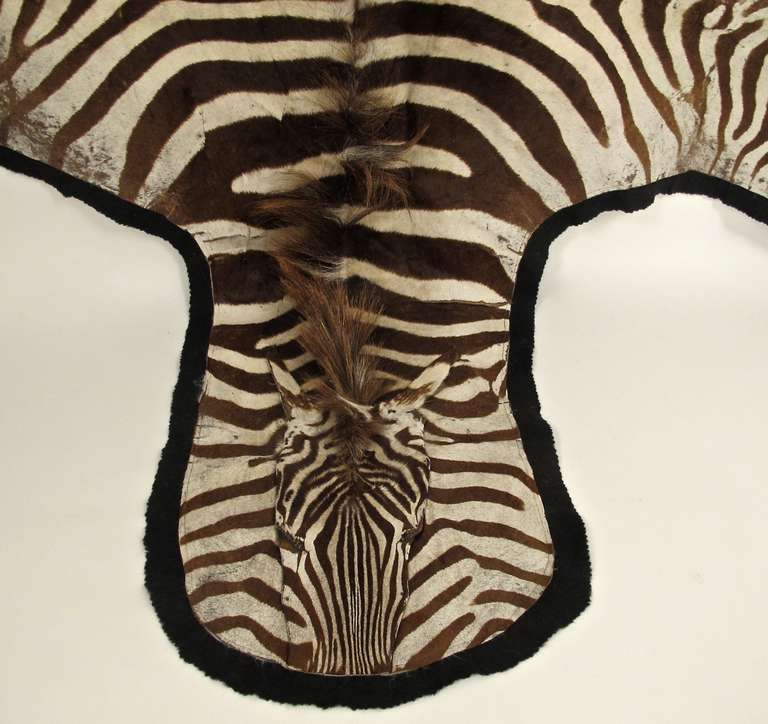 Vintage Zebra Skin Rug at 1stDibs
