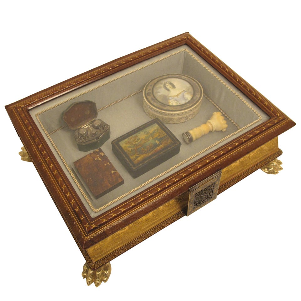 Handsome Book Vitrine or Jewel Box