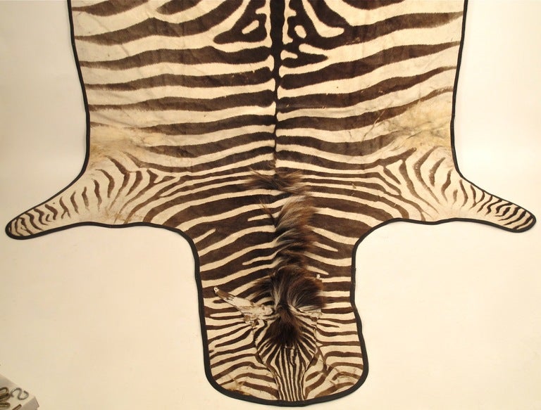 Vintage Zebra Skin Rug In Good Condition In San Francisco, CA
