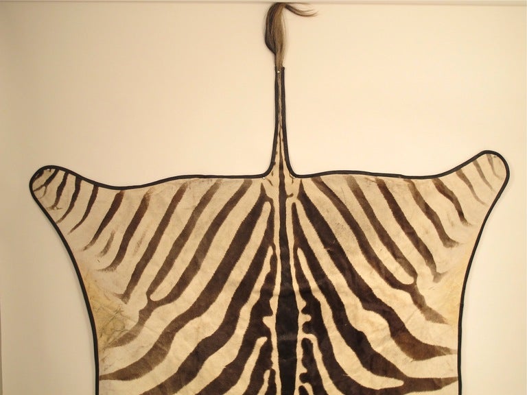 20th Century Vintage Zebra Skin Rug
