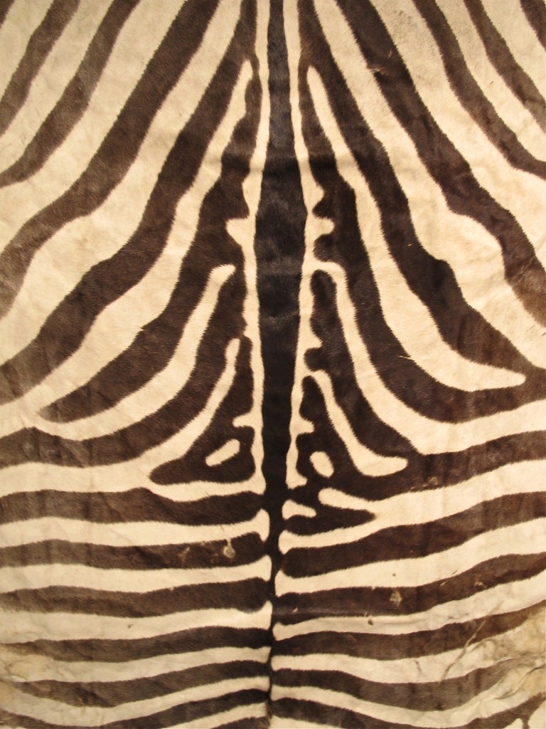 Vintage Zebra Skin Rug 1