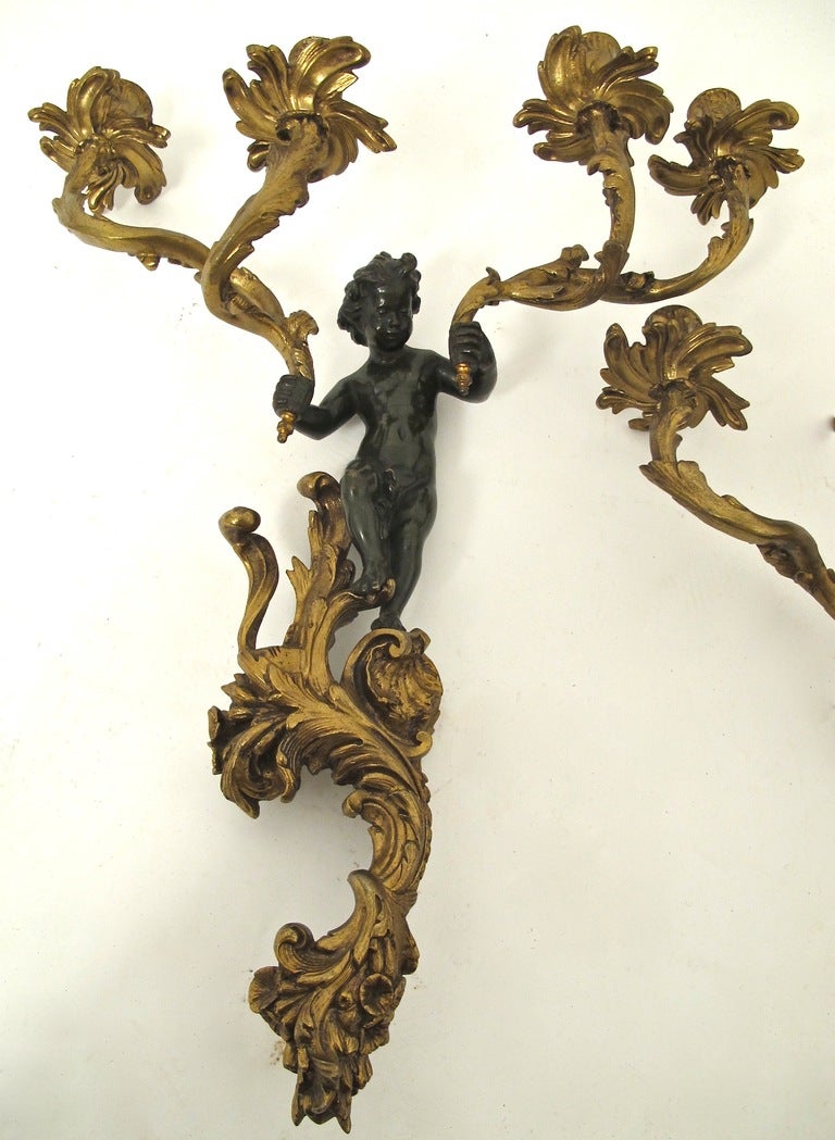 Pair of four light Louis XVI Style bronze wall sconces with patinated bronze cherub holding two vining leaf branches in each of his hands and standing on  scrolling acanthus leaves.  French, Circa 1860. 
The sconces have been drilled to be