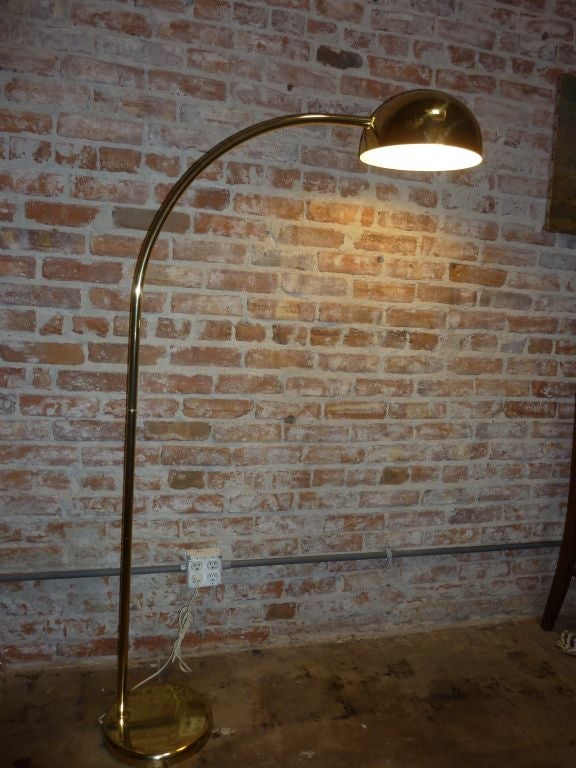 Brass plated floor lamp