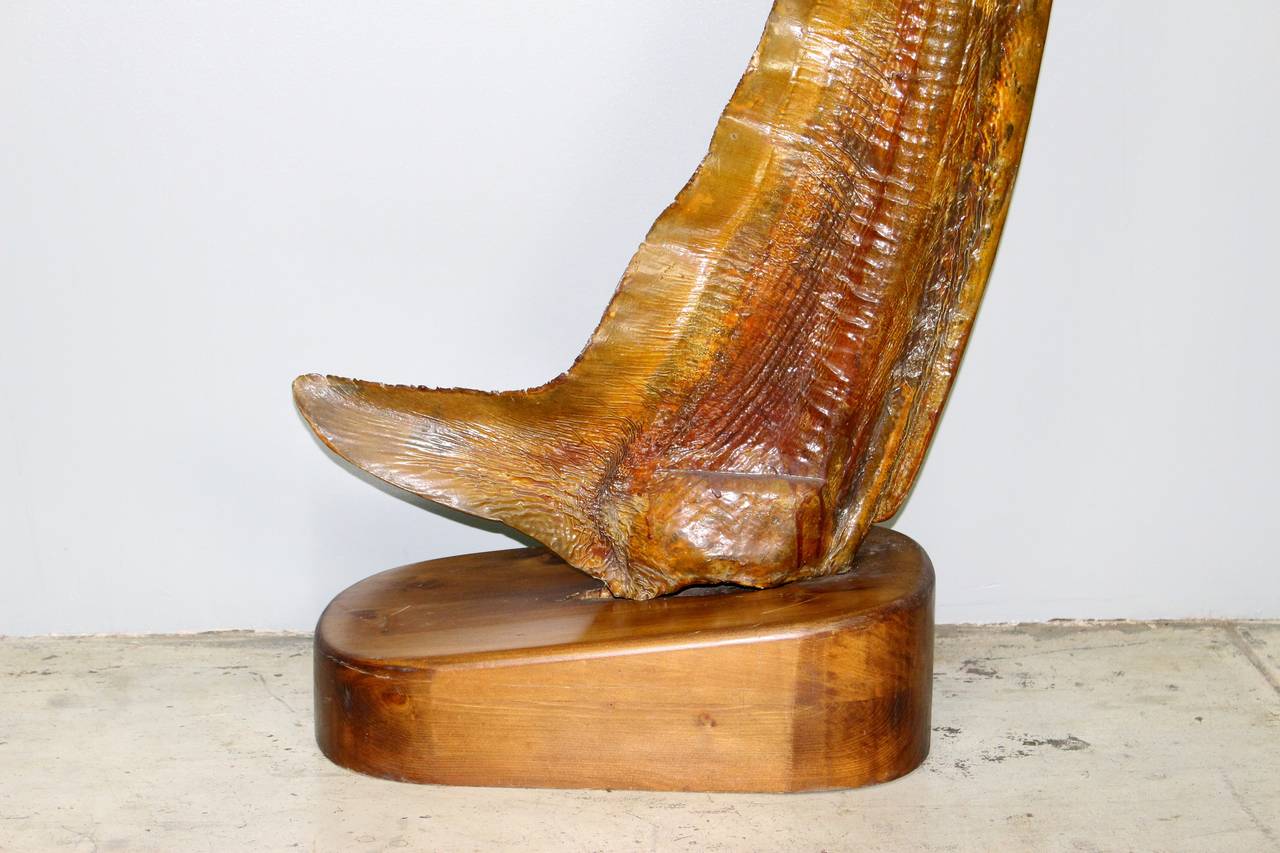 Mid-Century Modern Mid Century Thresher Shark Tail Sculpture