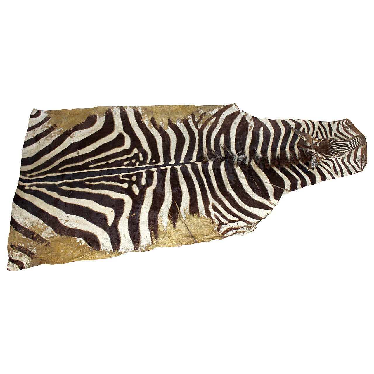 Antique Zebra Skin Rug at 1stDibs