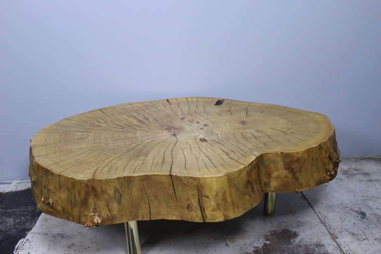Venetian artist Gimo Fero create the coffee table of the wood fallen or sawn long ago. Brass legs holds the top. Even newly constructed, may have some irregularities, such as variation in grain and some knots, slight cracks or larger cracks and