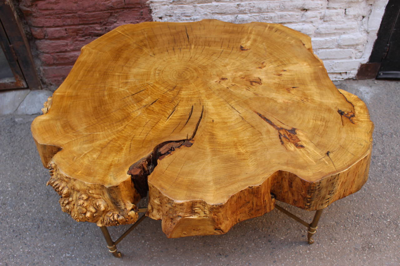 Venetian artist Gimo Fero create the coffee table of the wood fallen or sawn long ago, 1960s brass base holds the top. Even newly constructed, may have some irregularities, such as variation in grain and some knots, slight cracks or larger cracks