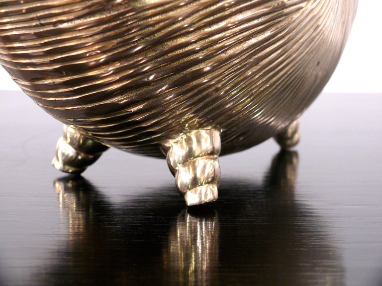 Nautilus Shell Brass Vase 2