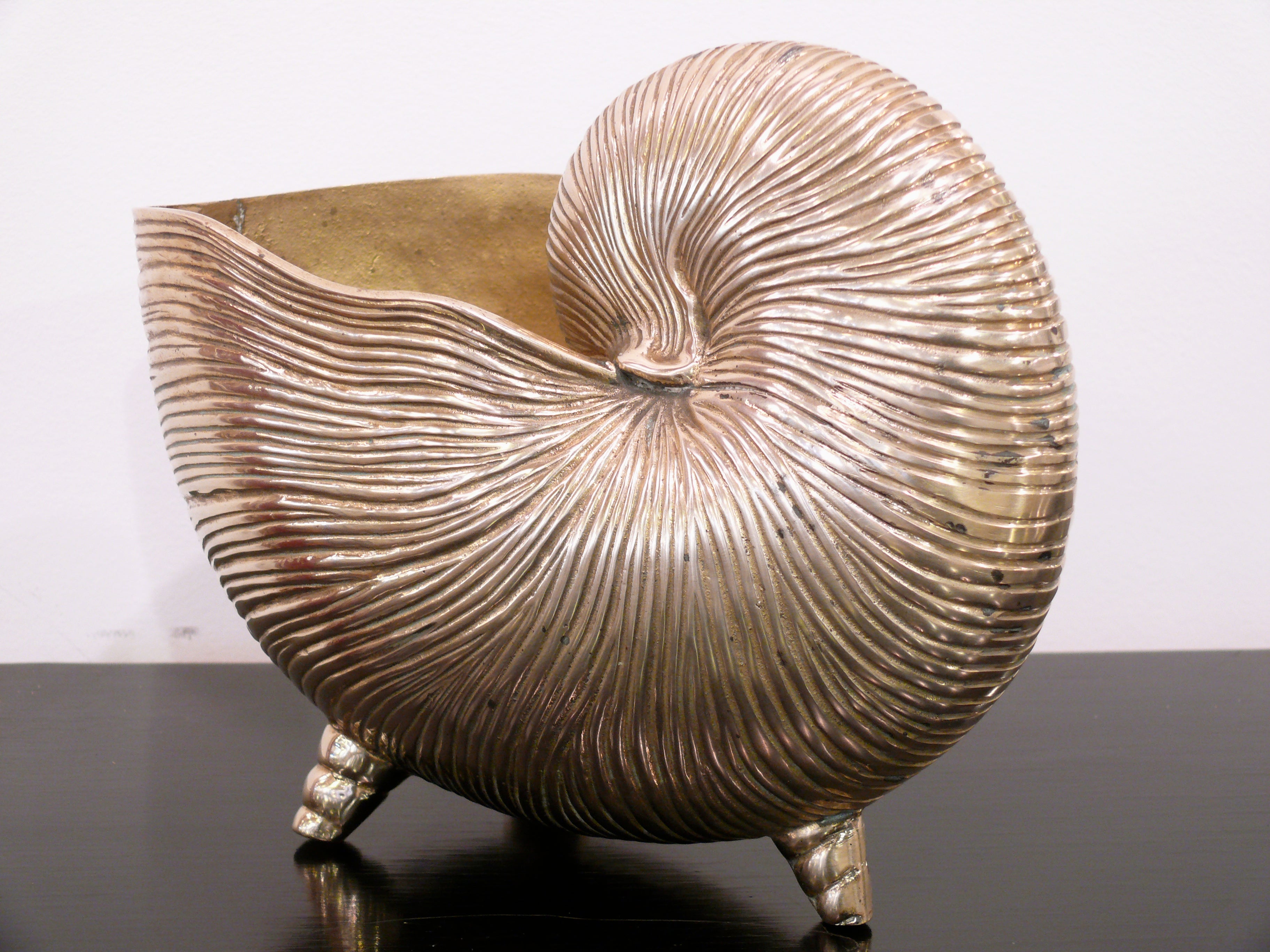 Nautilus Shell Brass Vase