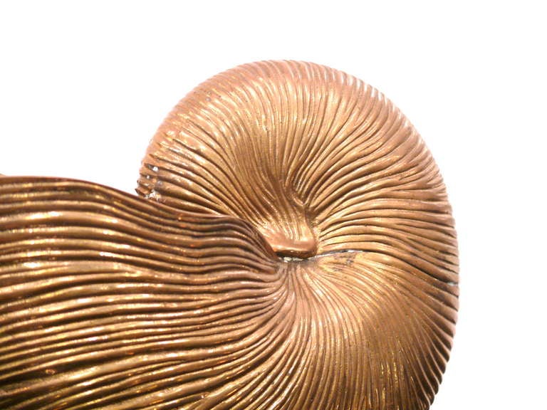 American Nautilus Brass Shell Vase