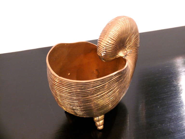 20th Century Nautilus Brass Shell Vase