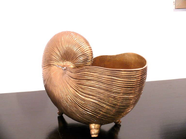 Nautilus Brass Shell Vase 1